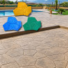 MOLDE HI-60-3-B PIEDRA IRREGULAR TABARCA 116,8*127 FLEXIBLE COLOTOOL