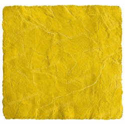 MOLDE TI-12 TEXTURA DAROCA 120*120 RIGIDO COLOTOOL