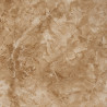 MOLDE P-13 MANOPLA TEXTURA LAJA 35*35 RIGIDO COLOTOOL