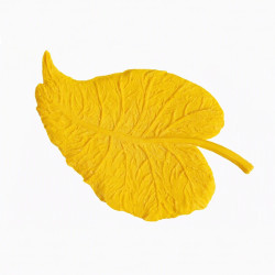 MOLDE FOS-02 FOSIL 31*20 cm COLOTOOL