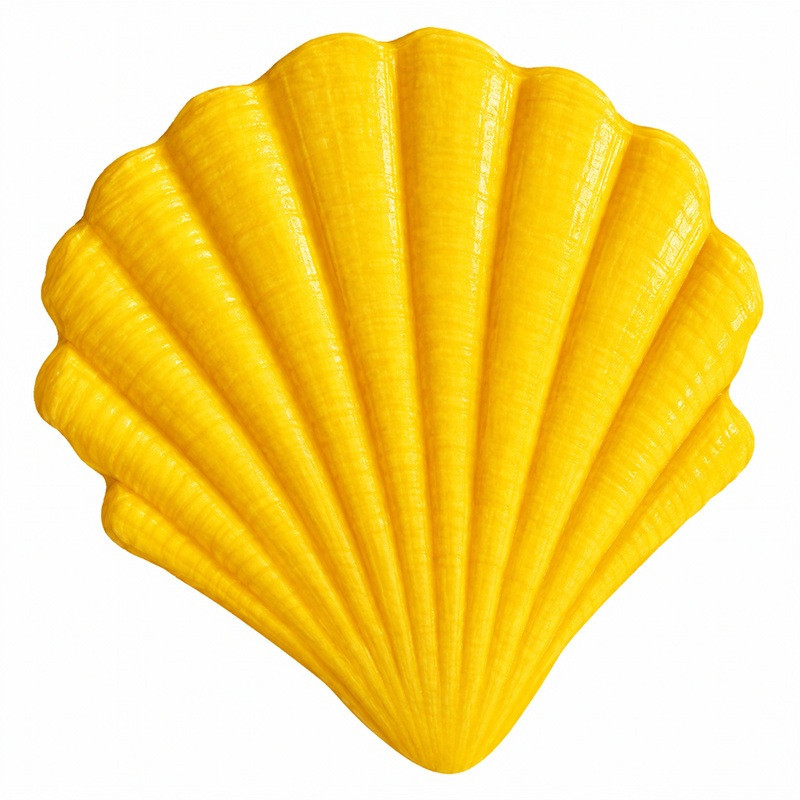MOLDE FOS-05 FOSIL CONCHA MARINA 15,5*14,5 cm COLOTOOL