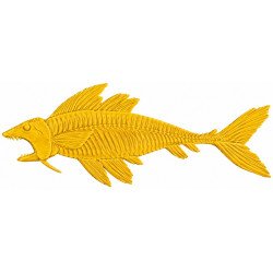 MOLDE FOS-10 FOSIL PEZ III 90*33 cm COLOTOOL