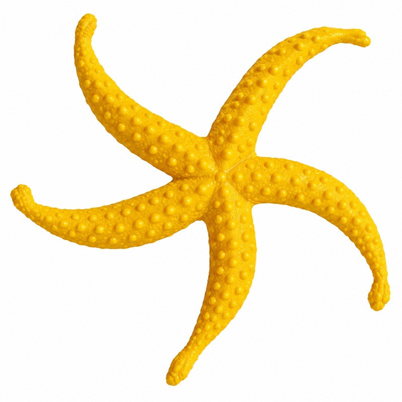 MOLDE FOS-11 FOSIL ESTRELLA DE MAR 23*16,5 cm COLOTOOL