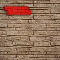 MOLDE P-2 LADRILLO EROSIONADO 18,7*58 cm CON REMATE PARA REVESTIMIENTO VERTICAL COLOTOOL