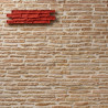 MOLDE P-8 LADRILLO PANCHITO 17*65 cm CON REMATE PARA REVESTIMIENTO VERTICAL COLOTOOL
