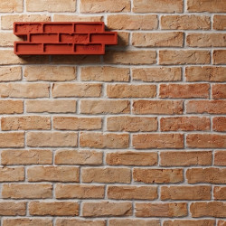 MOLDE P-5 LADRILLO ESPAÑOL 23*71,2 cm CON REMATE PARA REVESTIMIENTO VERTICAL COLOTOOL