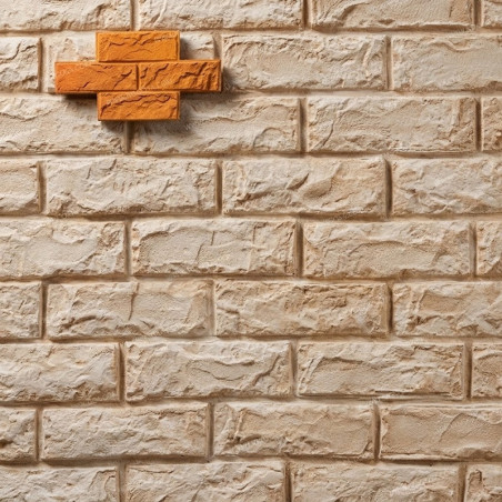 MOLDE P-55 LADRILLO GUADIX 34,2*63,3 cm CON REMATE PARA REVESTIMIENTO VERTICAL COLOTOOL
