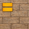 MOLDE P-35-2 MADERA VENECIA 24,8*61 cm PARA REVESTIMIENTO VERTICAL COLOTOOL