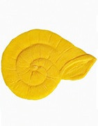 MOLDES COLECCIÓN FOSIL PARA HORMIGÓN IMPRESO COLOTOOL