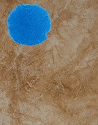 MOLDES TEXTURAS PARA REVESTIMIENTO VERTICAL IMPRESO COLOTOOL